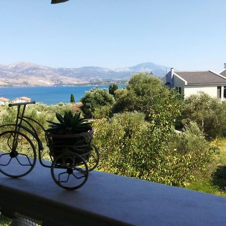 Araucaria Home Ликсури Экстерьер фото